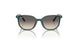713011 - Green - Grey