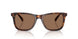 613773 - Tortoise - Dark Brown