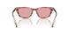 203684 - Brown - Light Violet