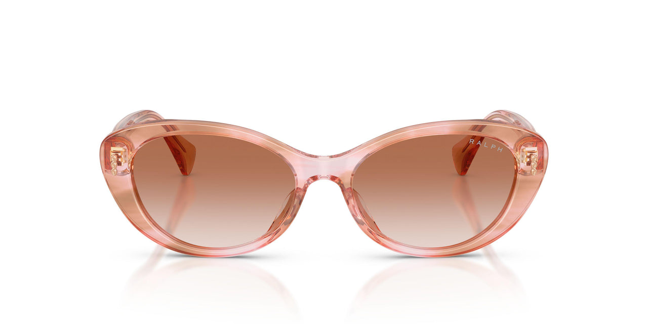634113 - Pink - Gradient Brown