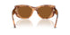509673 - Brown - Dark Brown