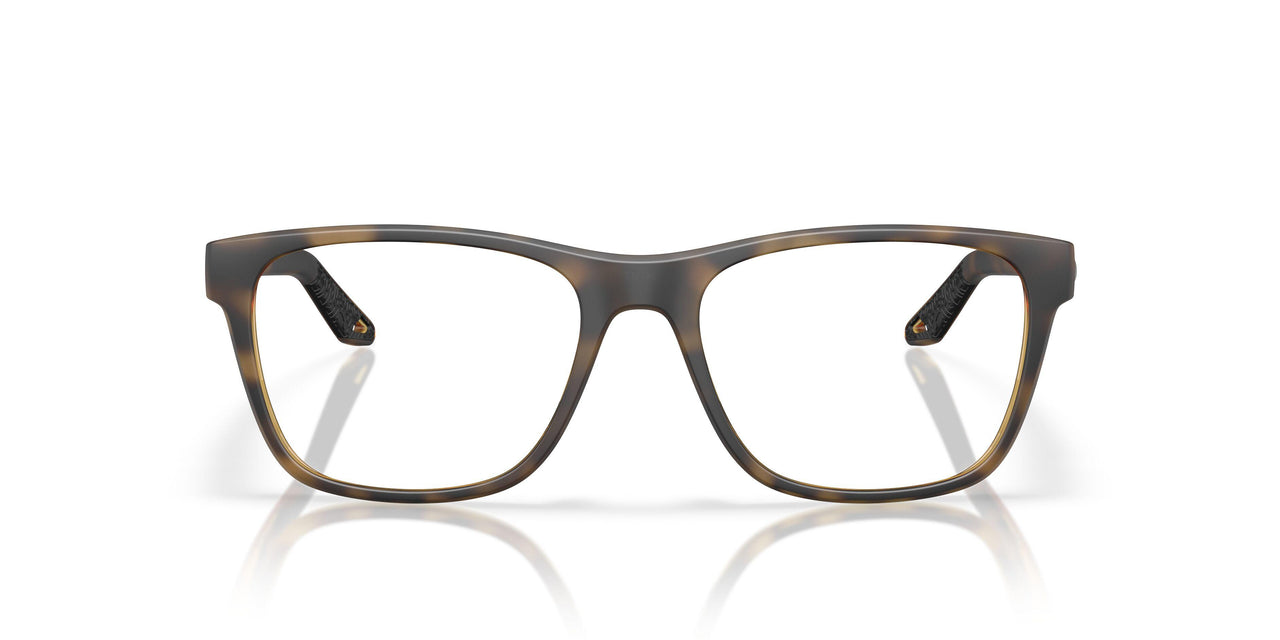 802404 - Tortoise