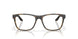 802404 - Tortoise