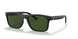 275871 - Black - Dark Green