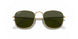 919658 - Gold - Green Polar