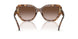 197513 - Tortoise - Brown Gradient