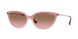 325814 - Pink - Pink Gradient Brown