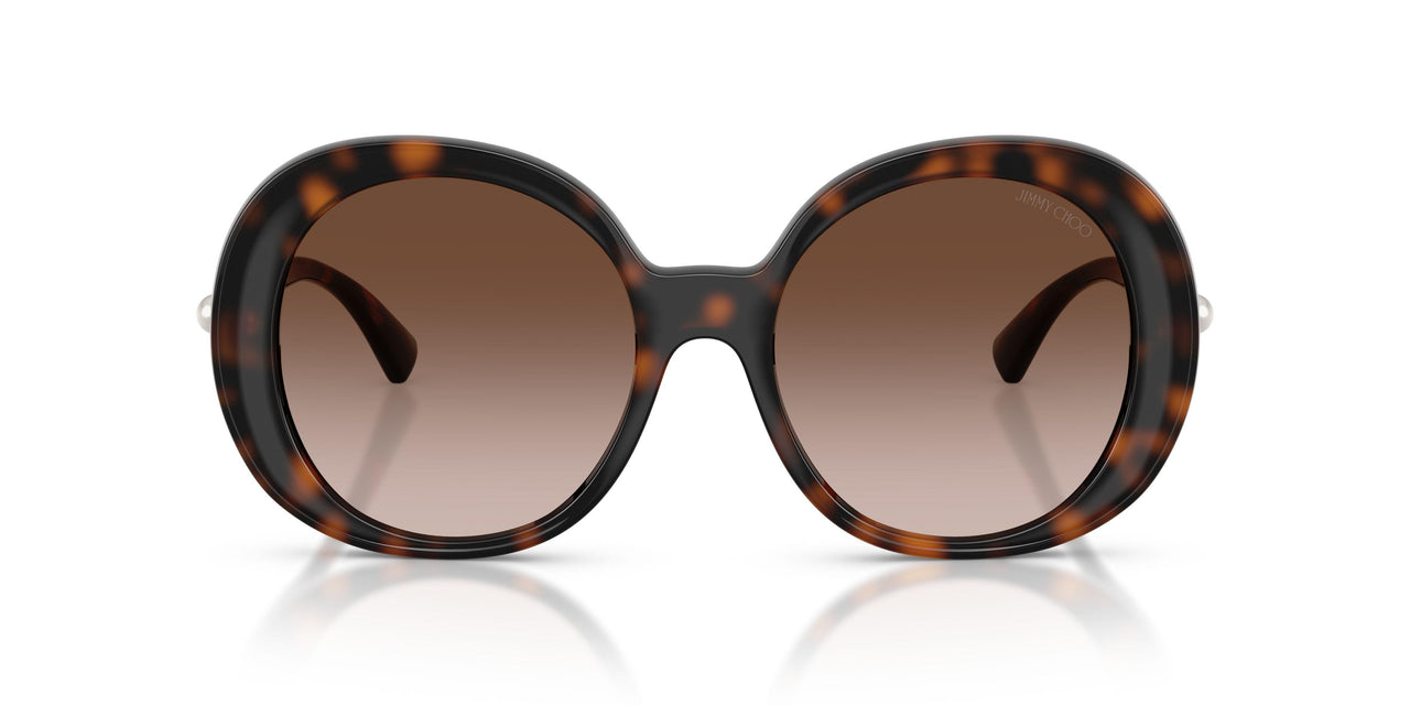 500213 - Tortoise - Brown Gradient