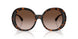500213 - Tortoise - Brown Gradient