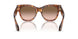 603351 - Brown - Gradient Brown
