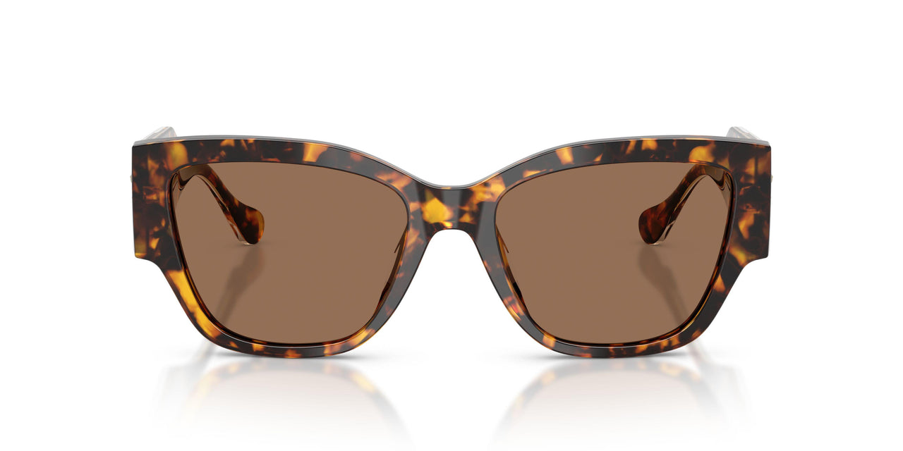 551473 - Tortoise - Dark Brown