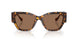 551473 - Tortoise - Dark Brown