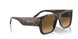 702/M2 - Tortoise - Polarized Brown Gradient