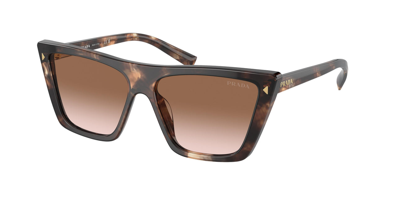 07R0A6 - Tortoise - Brown Gradient