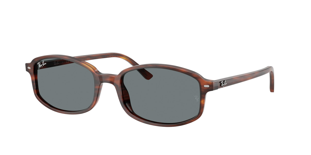 Ray-Ban 2232F Sunglasses