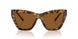 300673 - Tortoise - Amber Solid
