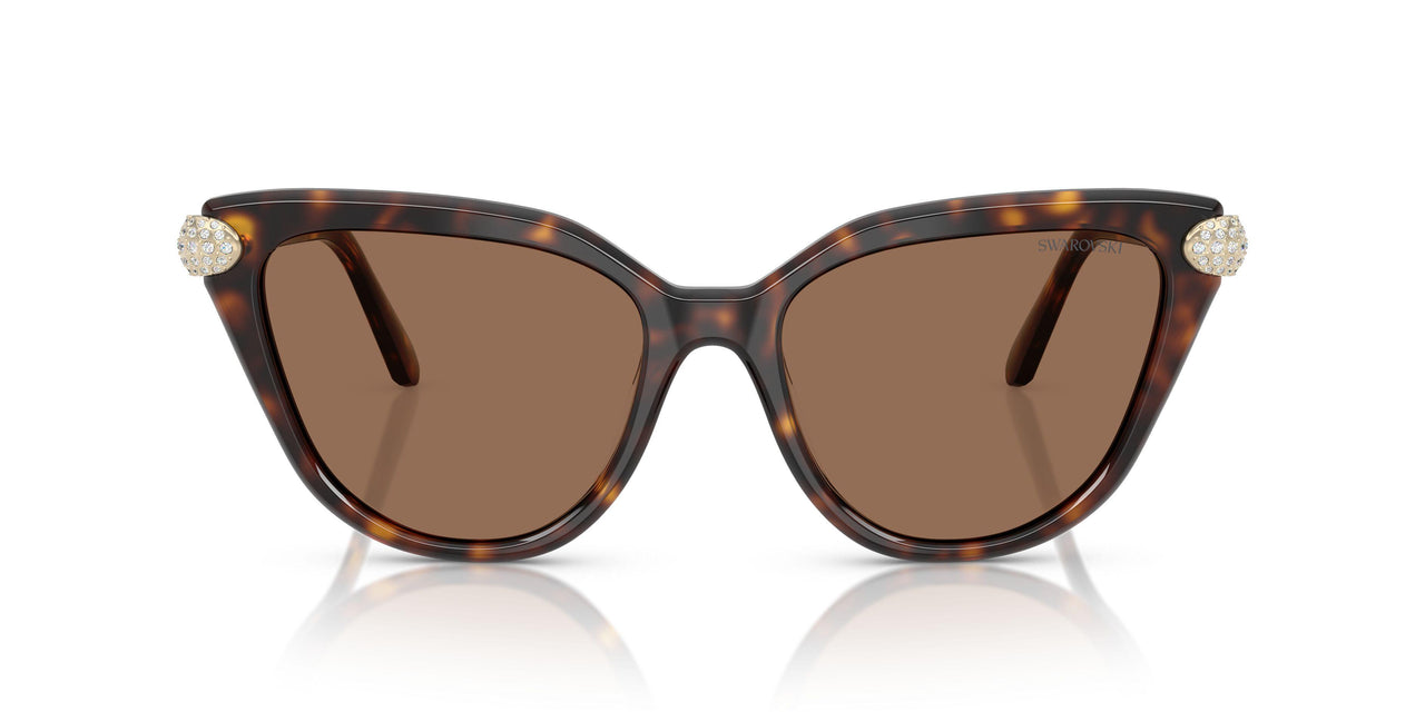 100273 - Tortoise - Dark Brown