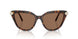 100273 - Tortoise - Dark Brown