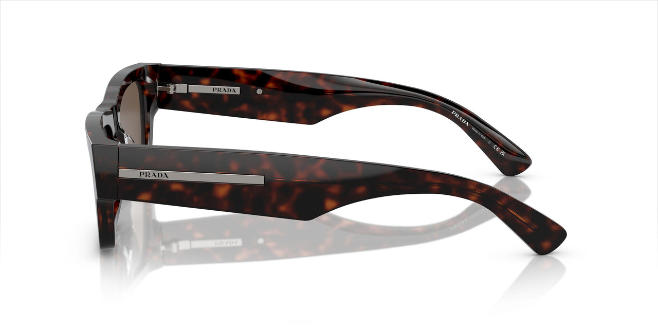 17N08T - Brown - Brown