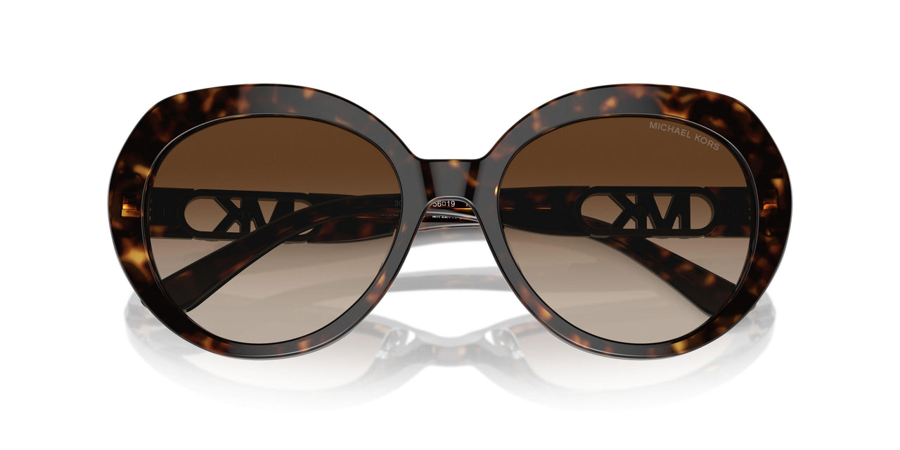 300613 - Tortoise - Brown Gradient