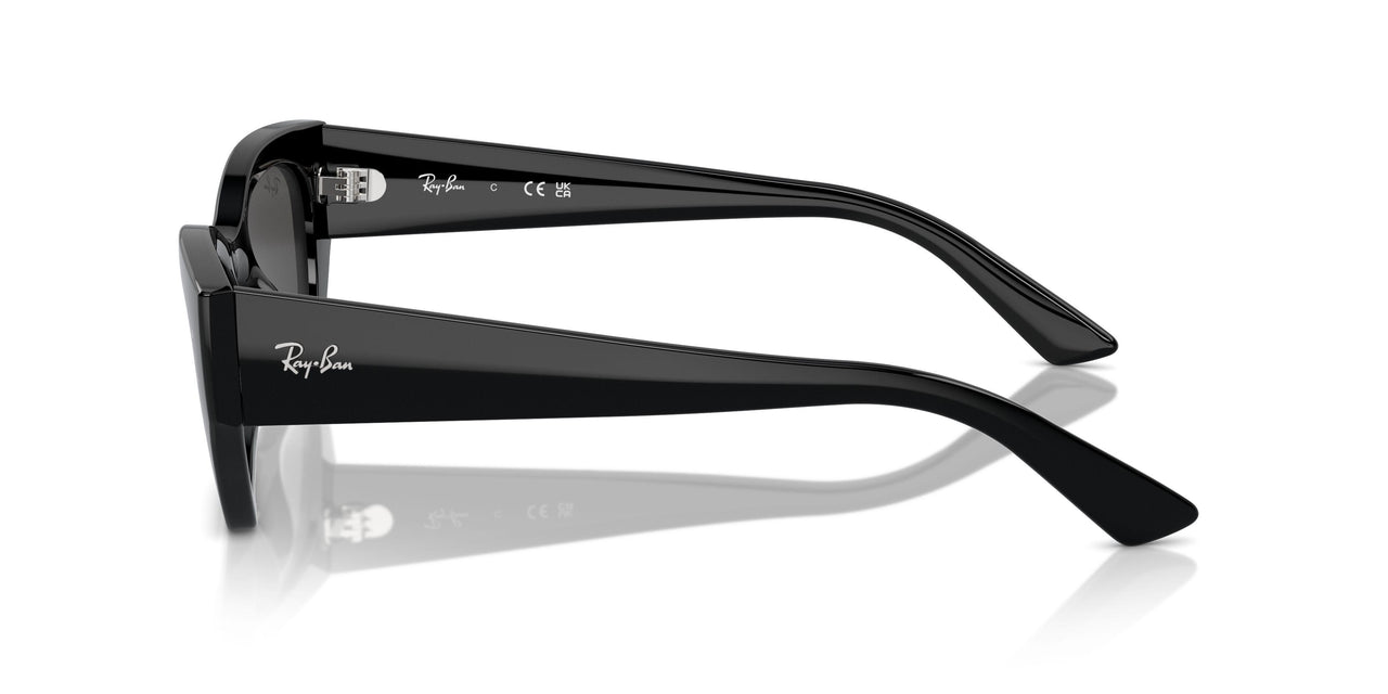 Ray-Ban Zena 4430F Sunglasses