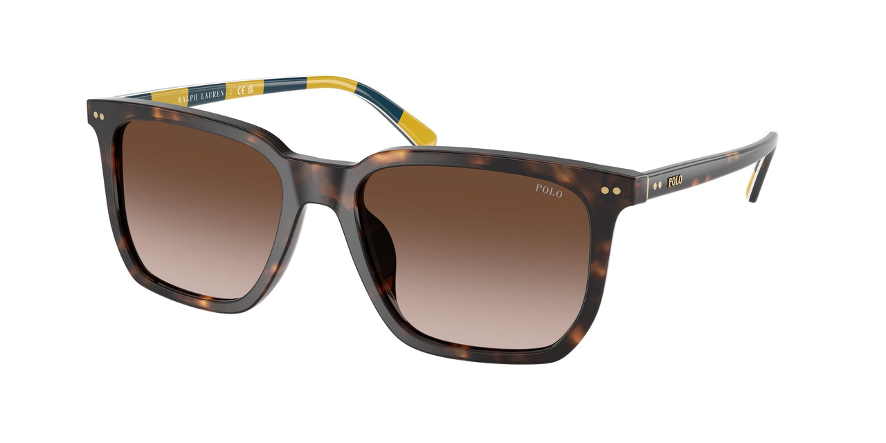 Polo 4224U Sunglasses