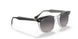 1294M3 - Black - Grey Gradient Polar