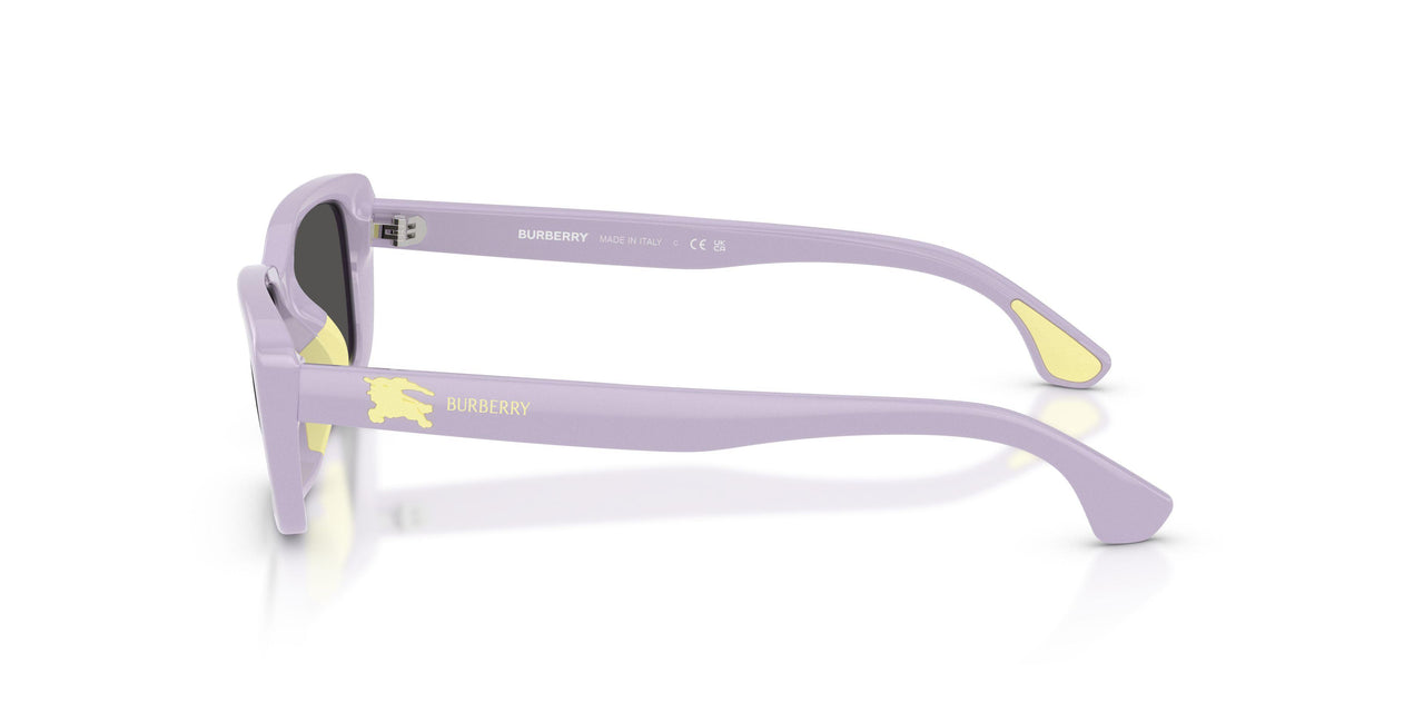 422887 - Violet - Dark Grey