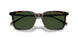 500371 - Brown - Dark Green