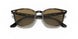 710/73 - Havana - Brown