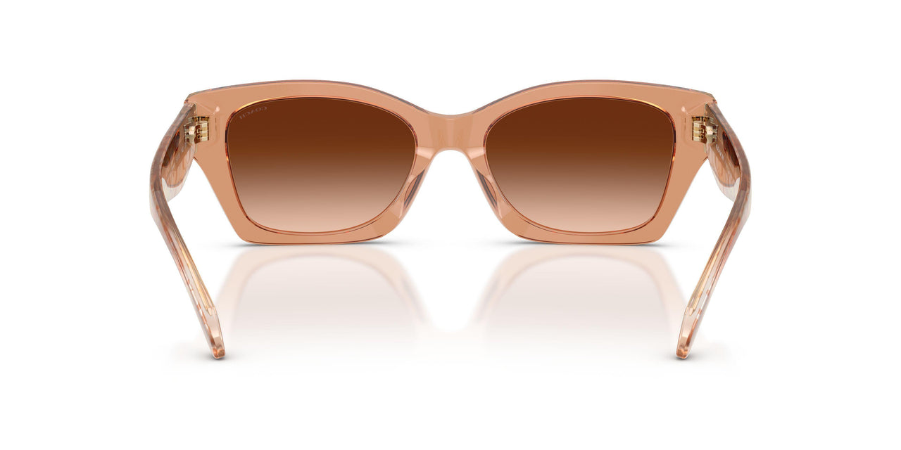 593774 - Brown - Brown Gradient