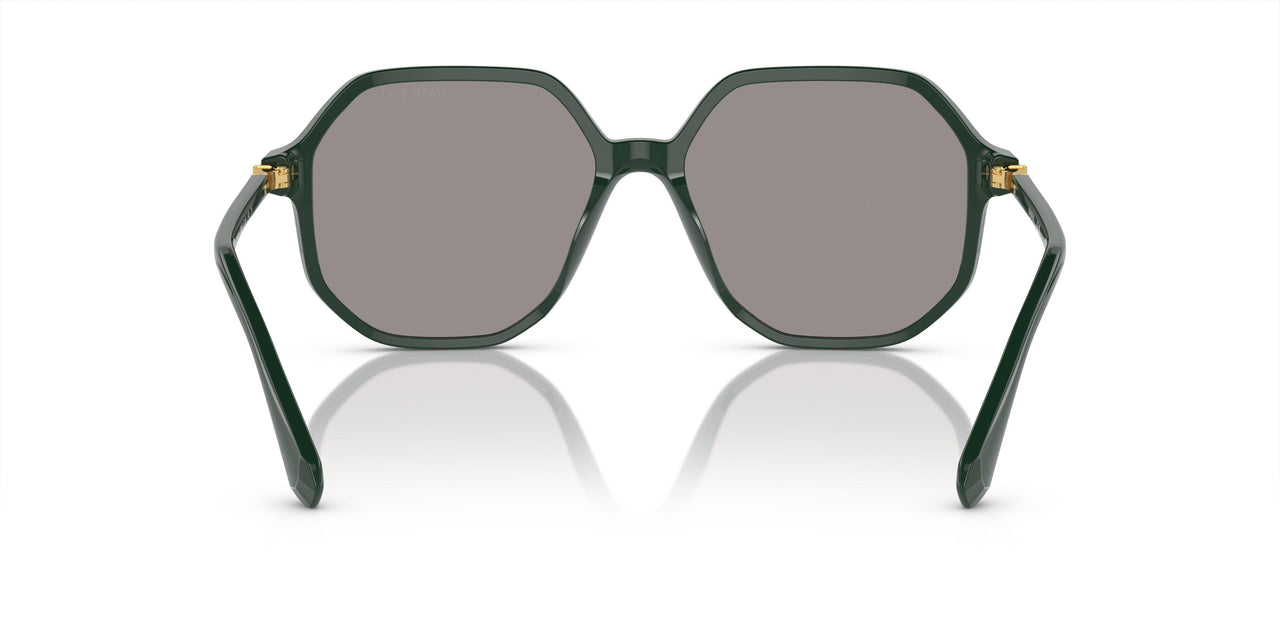 1026M3 - Green - Transition Light Grey To Dark Grey
