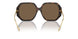 196473 - Tortoise - Dark Brown