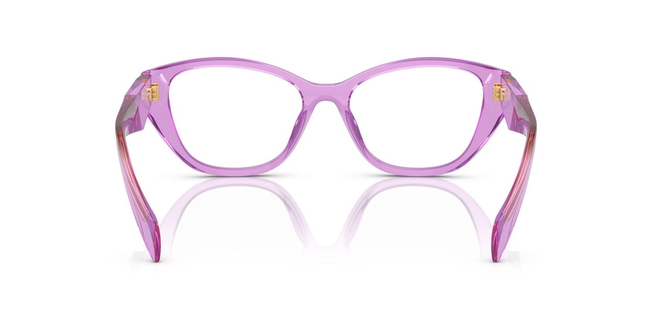 13R1O1 - Violet