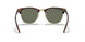 990/58 - Red Havana - Crystal Green Polarized