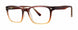 Modern Plastics II DAILY Eyeglasses