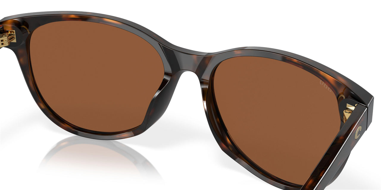 201201 - Tortoise - Copper