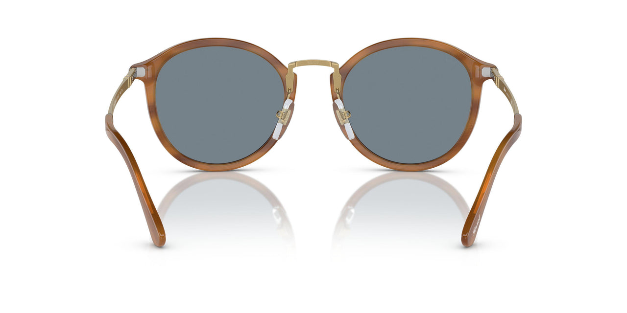 960/56 - Tortoise - Light Blue