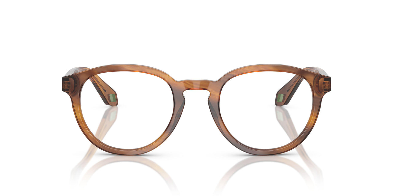 6163 - Tortoise