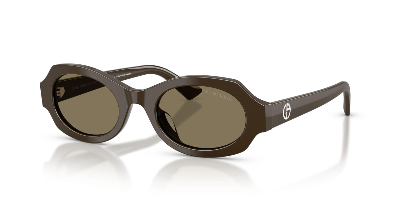 630773 - Brown - Light Brown