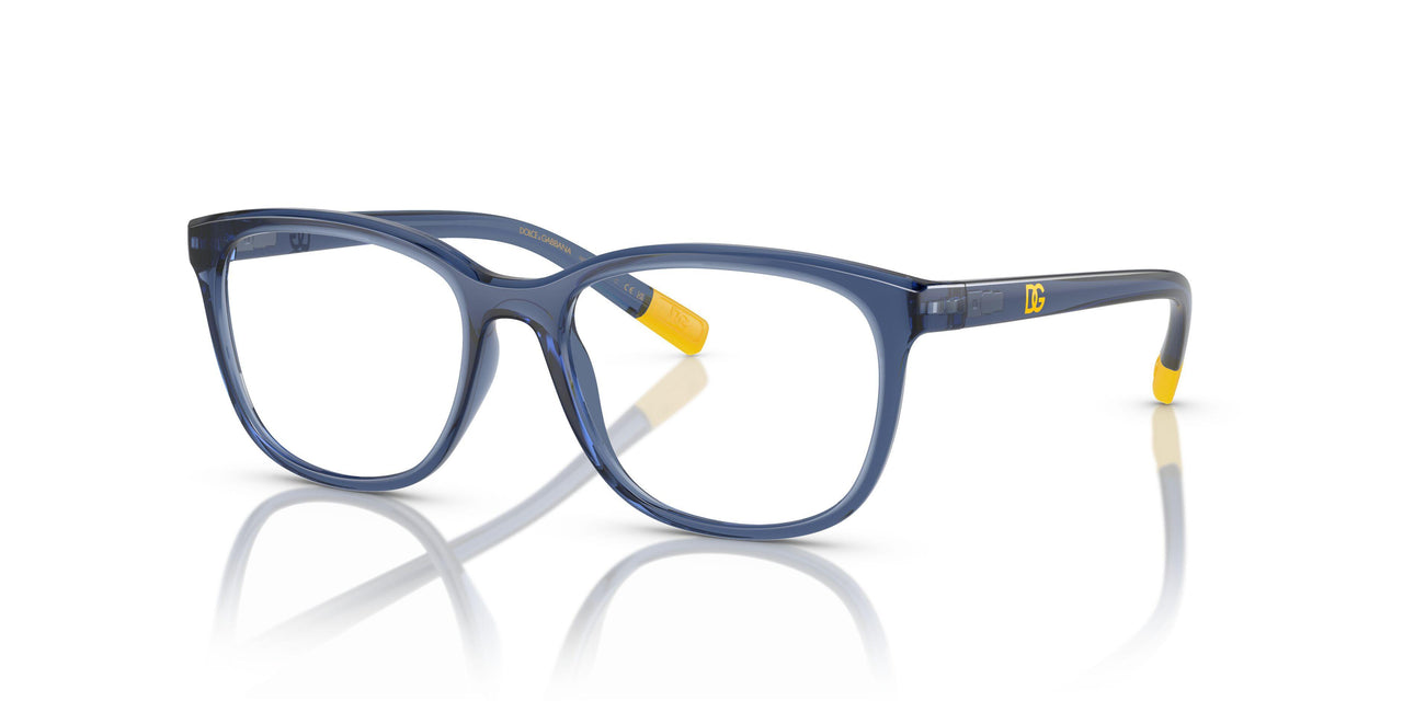 3009 - Blue