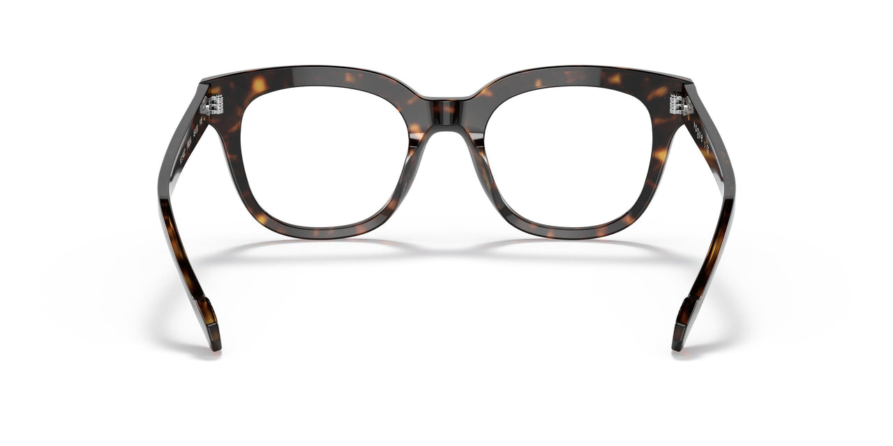 W656 - Brown