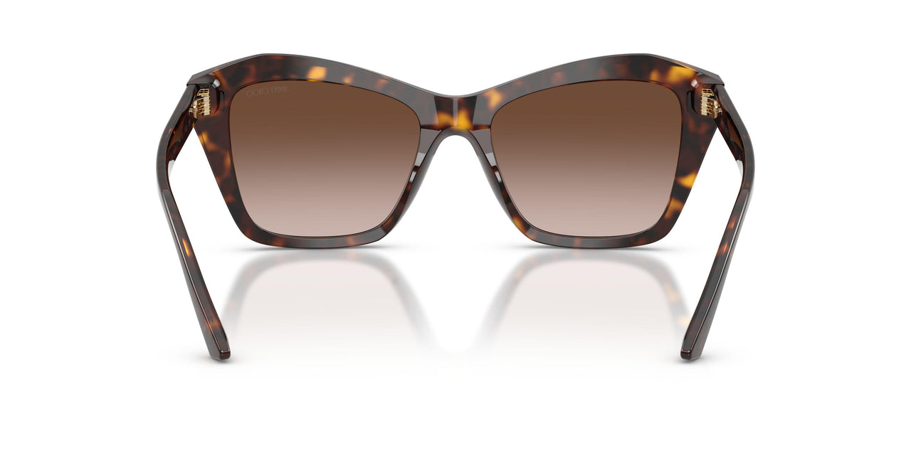 500213 - Tortoise - Brown Gradient