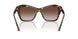 500213 - Tortoise - Brown Gradient