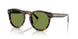 50034E - Brown - Solid Green