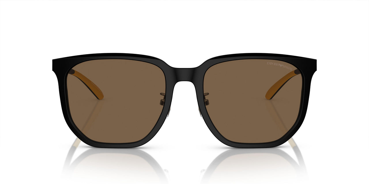 500173 - Black - Dark Brown