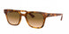 647551 - Yellow Light Havana - Clear Gradient Brown