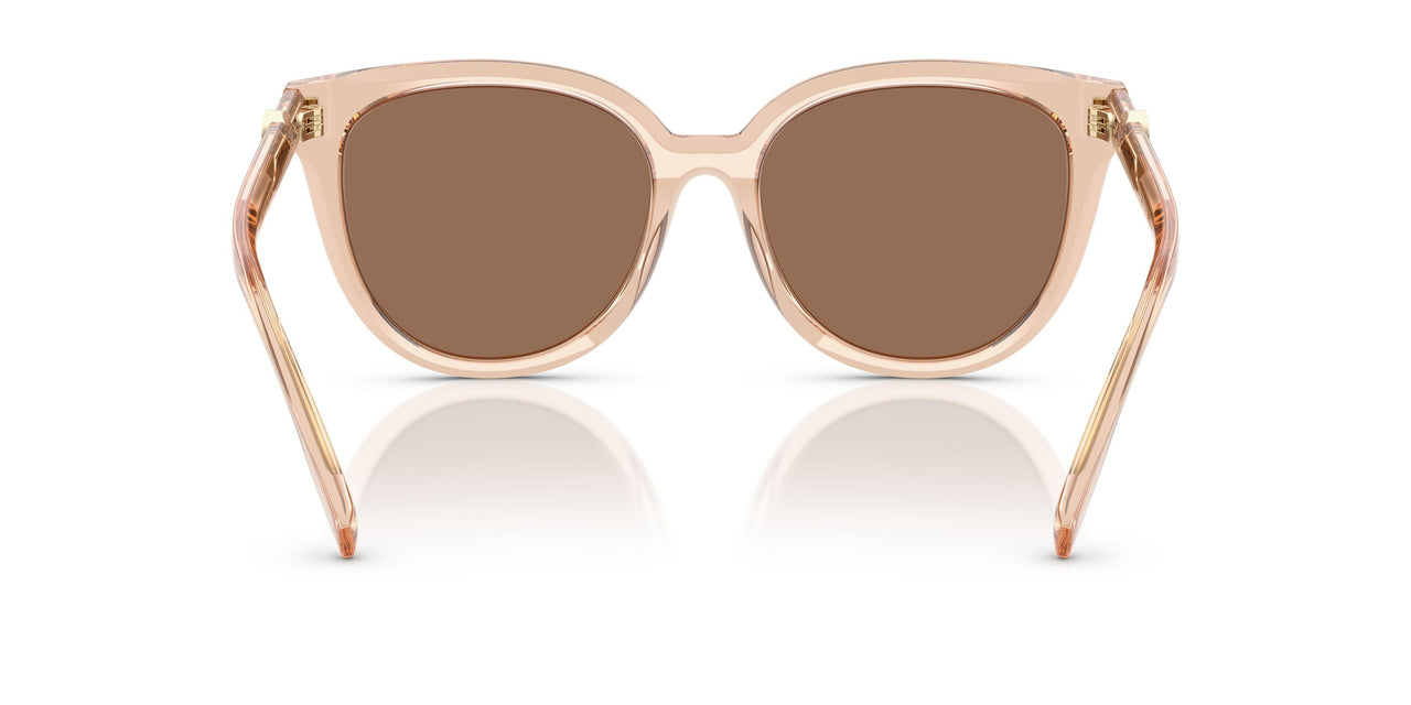 195473 - Brown - Dark Brown