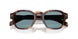15W04D - Tortoise - Green Polar