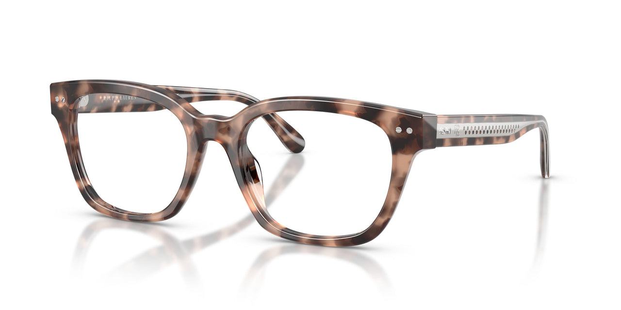 6307 - Tortoise